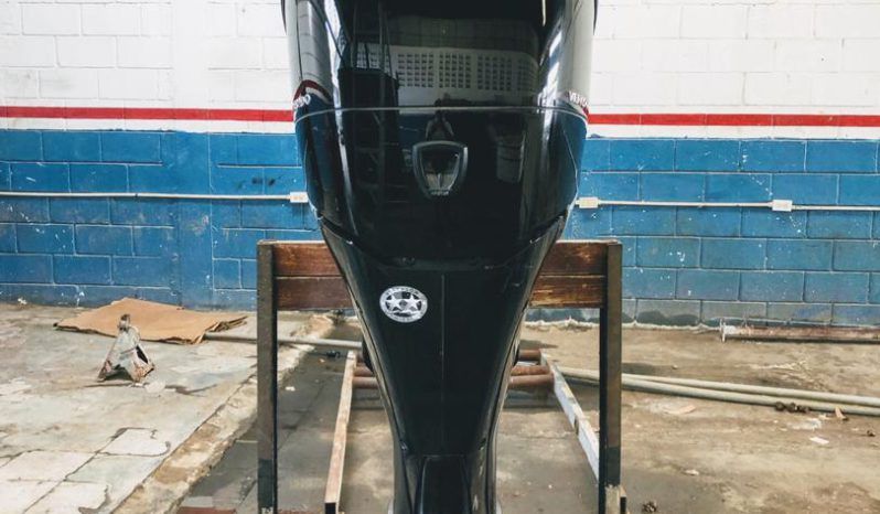 MERCURY VERADO 225HP full