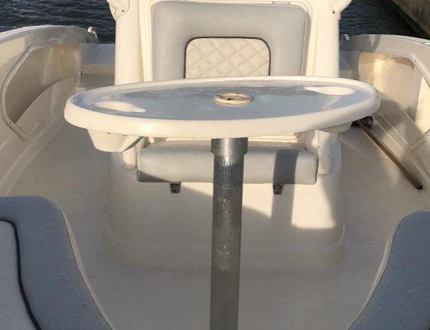 
								PROMARINE OPEN  21 full									