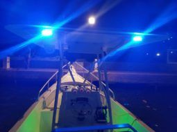 
										PEÑERO PROMARINE 28 full									