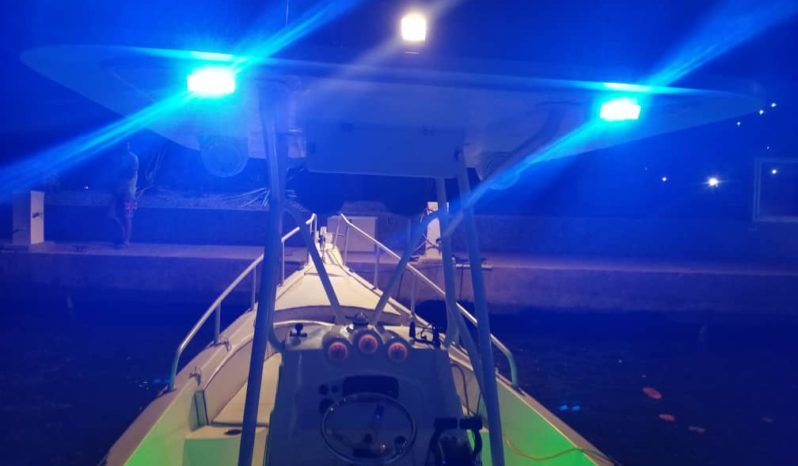 
								PEÑERO PROMARINE 28 full									