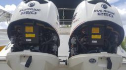 
										INTERMARINE Z29 full									