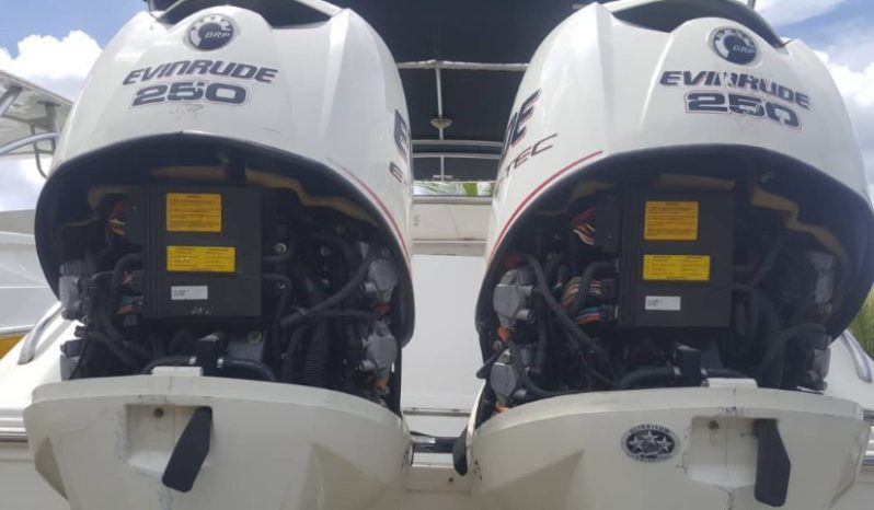 
								INTERMARINE Z29 full									