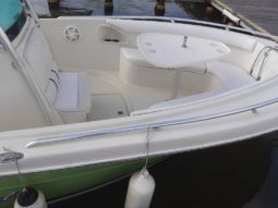 PROMARINE OPEN 24 full