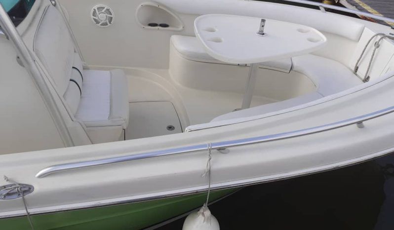PROMARINE OPEN 24 full