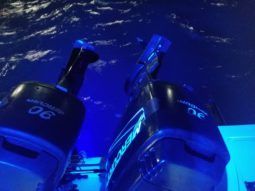 
										PEÑERO PROMARINE 28 full									