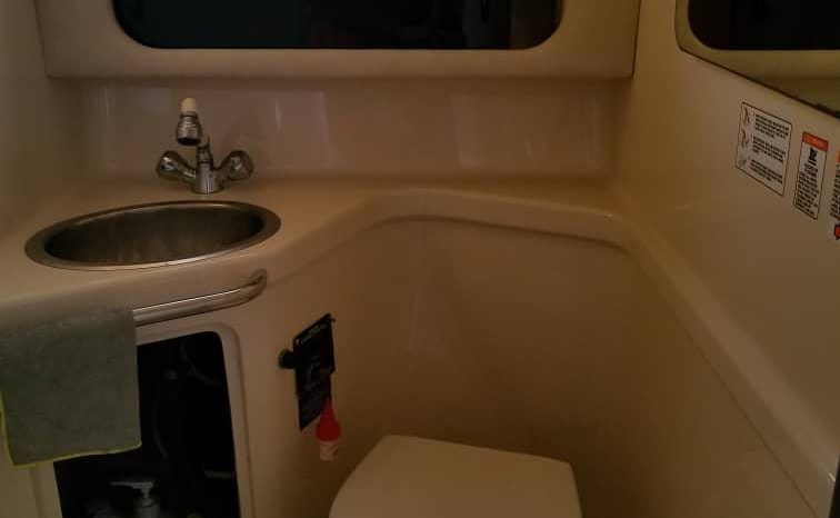 
								SEA RAY 290 31 full									