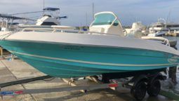 
										PROMARINE OPEN  21 full									