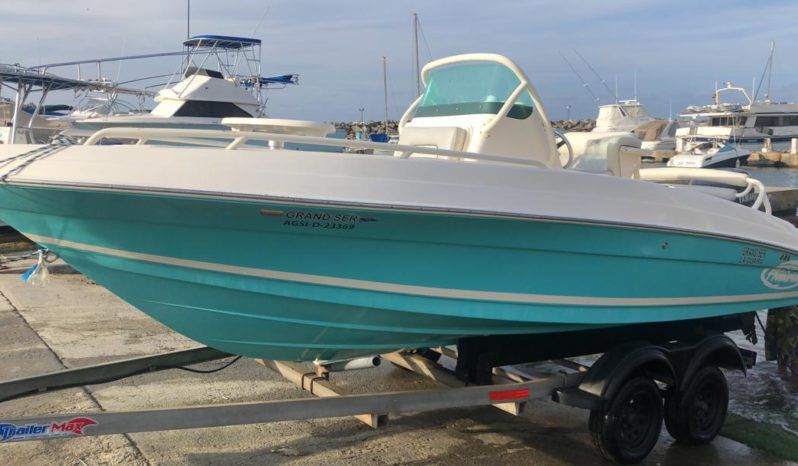 
								PROMARINE OPEN  21 full									