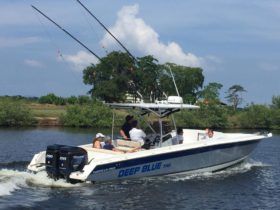 COMMANDER 32.5