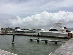 
										ACCION GRAN MARINA DEL REY TIPO A full									