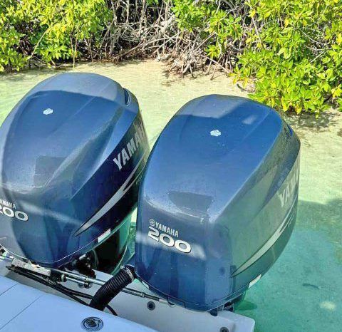 
								AQUANAUTI OPEN 25 full									