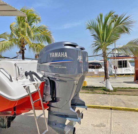 
								AQUANAUTI OPEN 25 full									