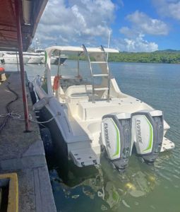 
										AQUANAUTI OPEN 33 full									