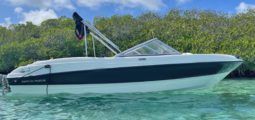 BAYLINER 18.5 full