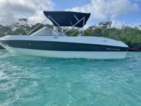 BAYLINER 18.5