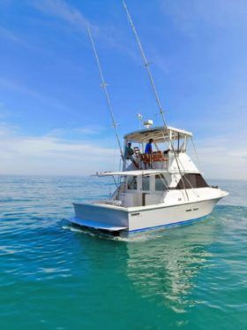 BERTRAM 35
