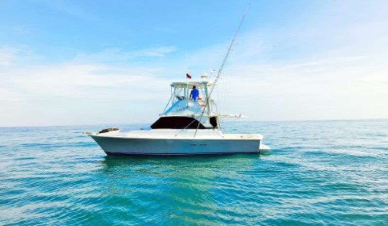 
								BERTRAM 35 full									