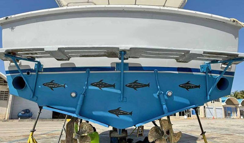 
								BERTRAM 35 full									