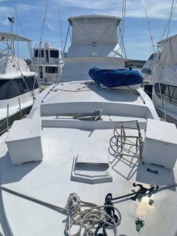 
										BERTRAM 46 full									