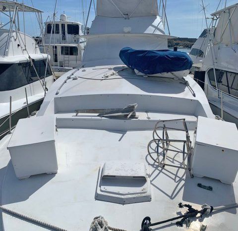 
								BERTRAM 46 full									