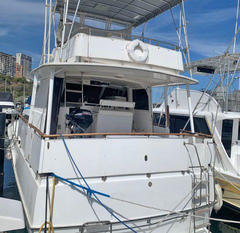 
								BERTRAM 46 full									