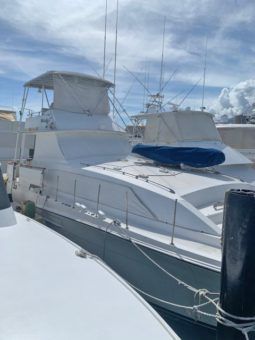 
										BERTRAM 46 full									
