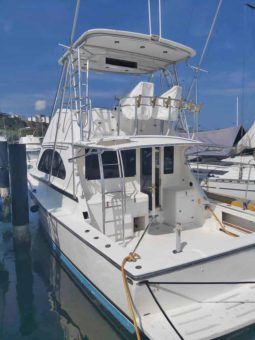 BERTRAM CONVERTIBLE 38 full