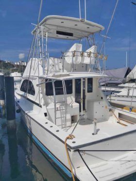 BERTRAM CONVERTIBLE 38