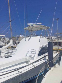 BERTRAM CONVERTIBLE 38 full