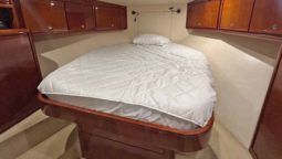 
										BERTRAM CONVERTIBLE 51 full									