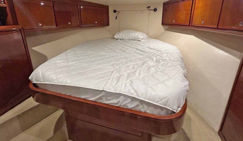 
								BERTRAM CONVERTIBLE 51 full									