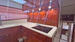 
										BERTRAM CONVERTIBLE 51 full									