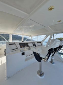 
										BERTRAM CONVERTIBLE 60 full									