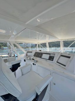 
										BERTRAM CONVERTIBLE 60 full									