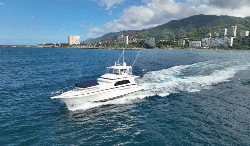 
								BERTRAM CONVERTIBLE 60 full									