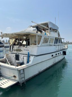 
										BERTRAM FLIGH EAGLE 65 full									