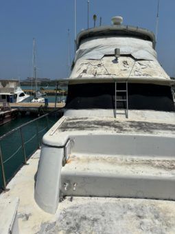 
										BERTRAM FLIGH EAGLE 65 full									