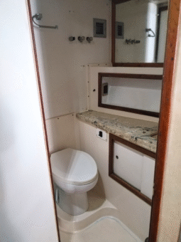 
										BERTRAM SF 46.6 full									