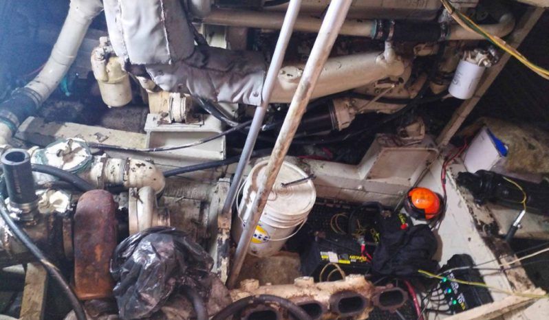 
								BERTRAM SF 46.6 full									