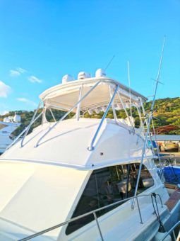 
										BERTRAM SF 46.6 full									