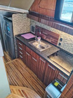 
										BERTRAM SF 46.6 full									