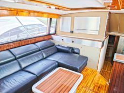 
										BERTRAM SF 46.6 full									