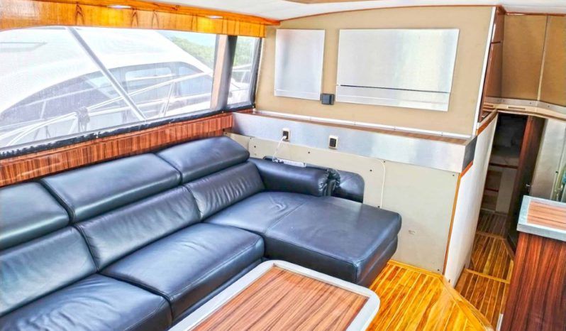 
								BERTRAM SF 46.6 full									