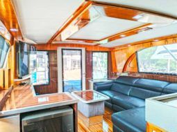 
										BERTRAM SF 46.6 full									