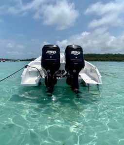 
										BLACK JACK SPORT SERIES 26 full									