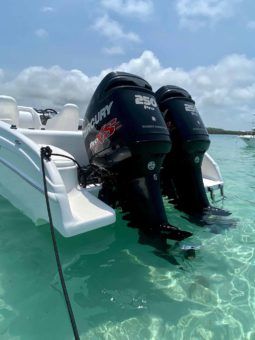 
										BLACK JACK SPORT SERIES 26 full									