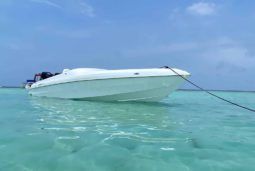 
										BLACK JACK SPORT SERIES 26 full									