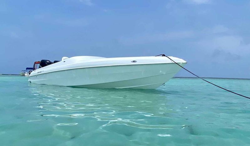 
								BLACK JACK SPORT SERIES 26 full									