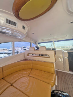 
										BLUE ARROW EXPRESS 47 full									