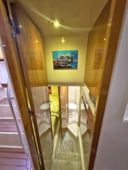 
										BLUE ARROW EXPRESS 47 full									